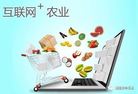 互聯網+農業模式下農產品營銷策略 破解銷售困境的創新路徑
